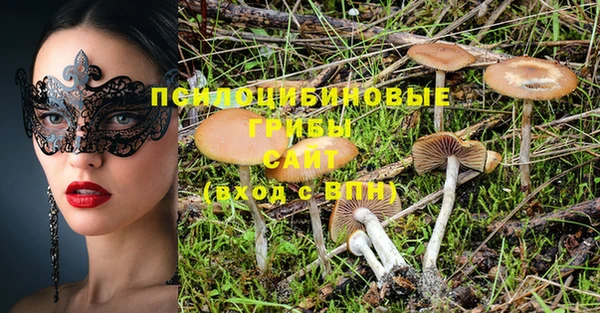 СК Пестово