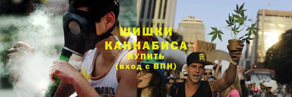 apvp Осинники