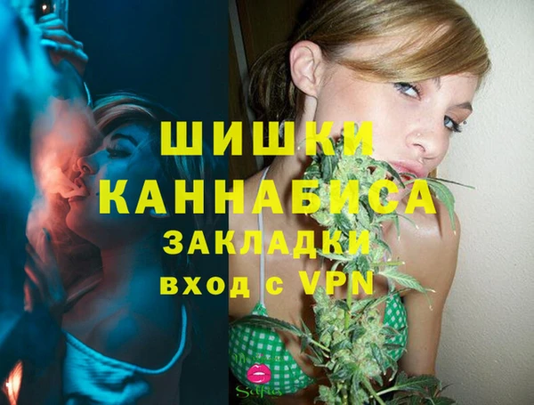 винт Осташков