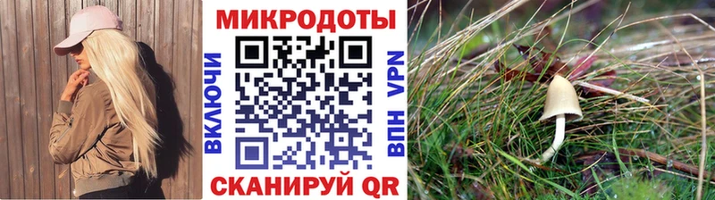 Галлюциногенные грибы GOLDEN TEACHER  blacksprut маркетплейс  Рудня  наркотики 